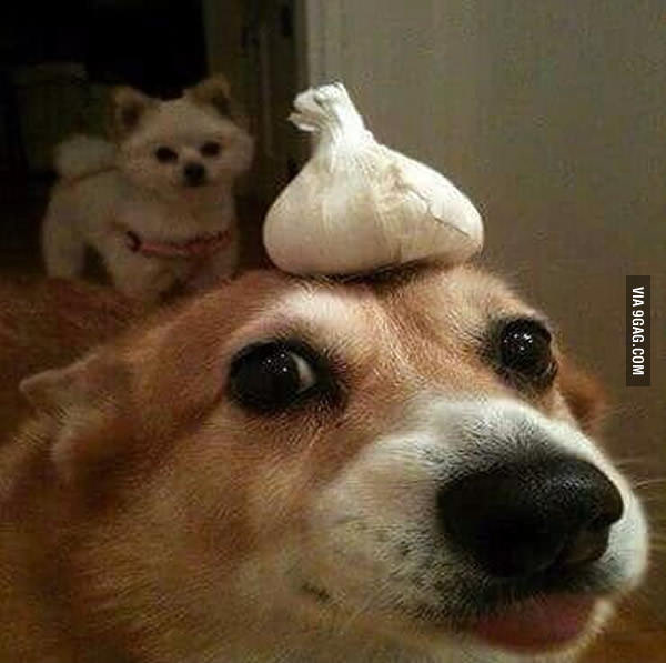 fuq.jpg