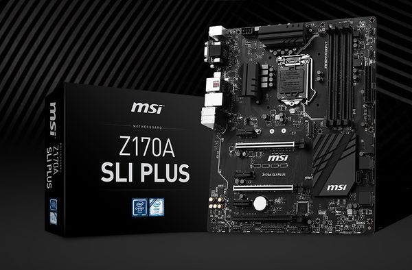 msi_w_600.jpg