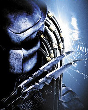 predator.jpg
