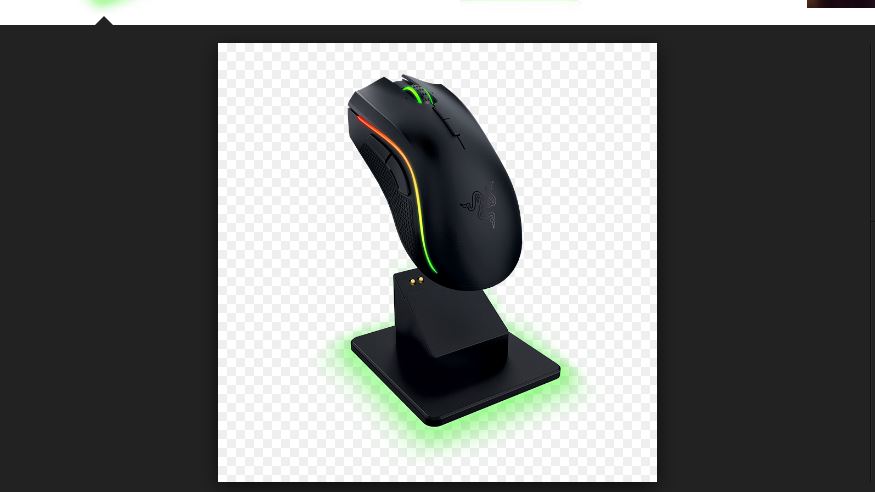 mamba.JPG