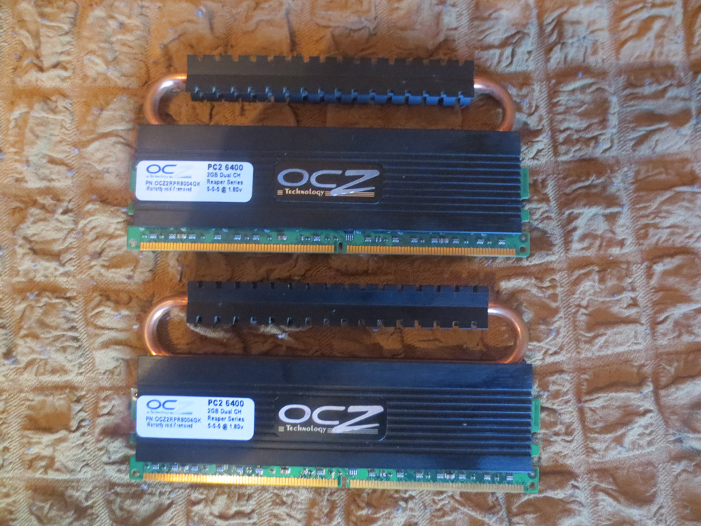 Ram1.jpg