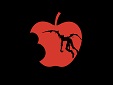 Death_Note_Apple_Wallpaper_by_Medetrate.jpg