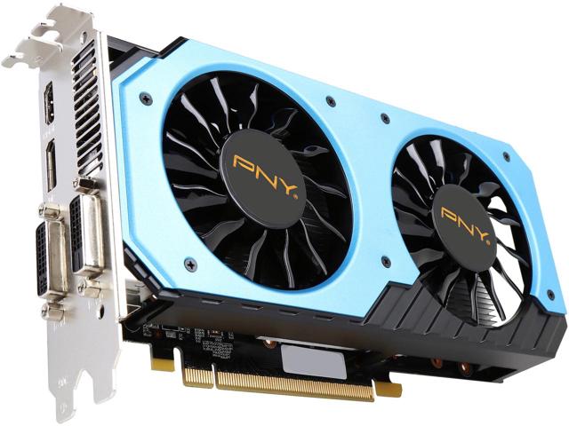 950.jpg