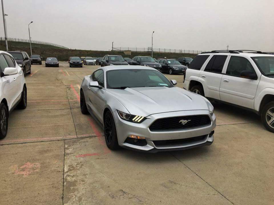 received_840184582829029.jpeg