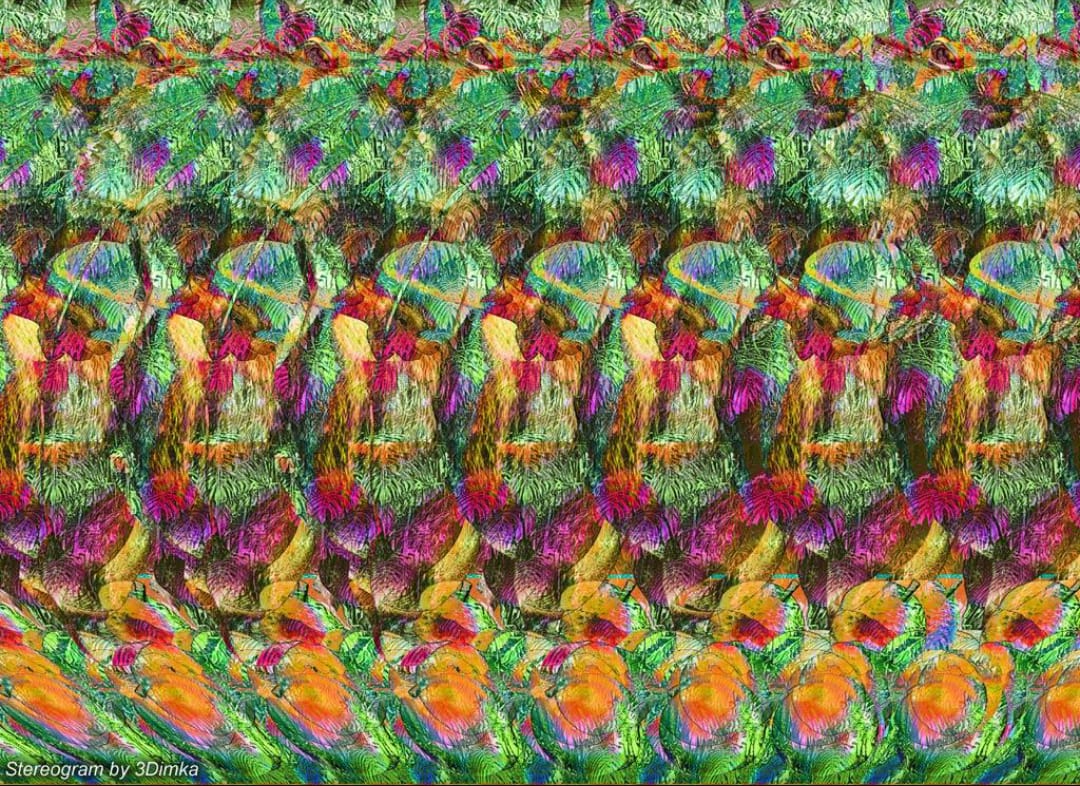 23593658_1838967346132413_1687733030290151120_o.jpg
