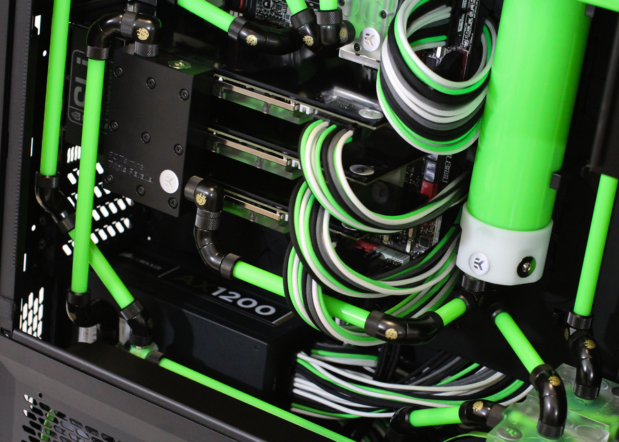 Green_and_Black.jpeg