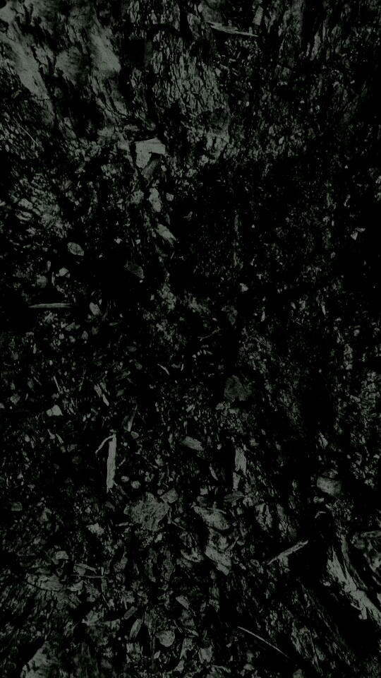 76353_adapted_540x960.jpg