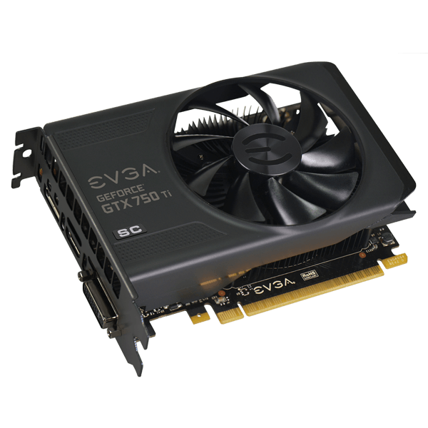 02G_P4_3753_RX_LG_1.png