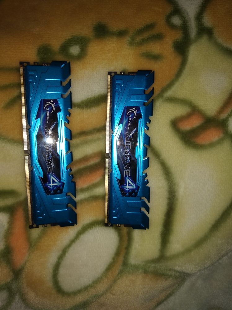 gskill_2.JPEG