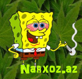 1298177338_sponge1.jpg