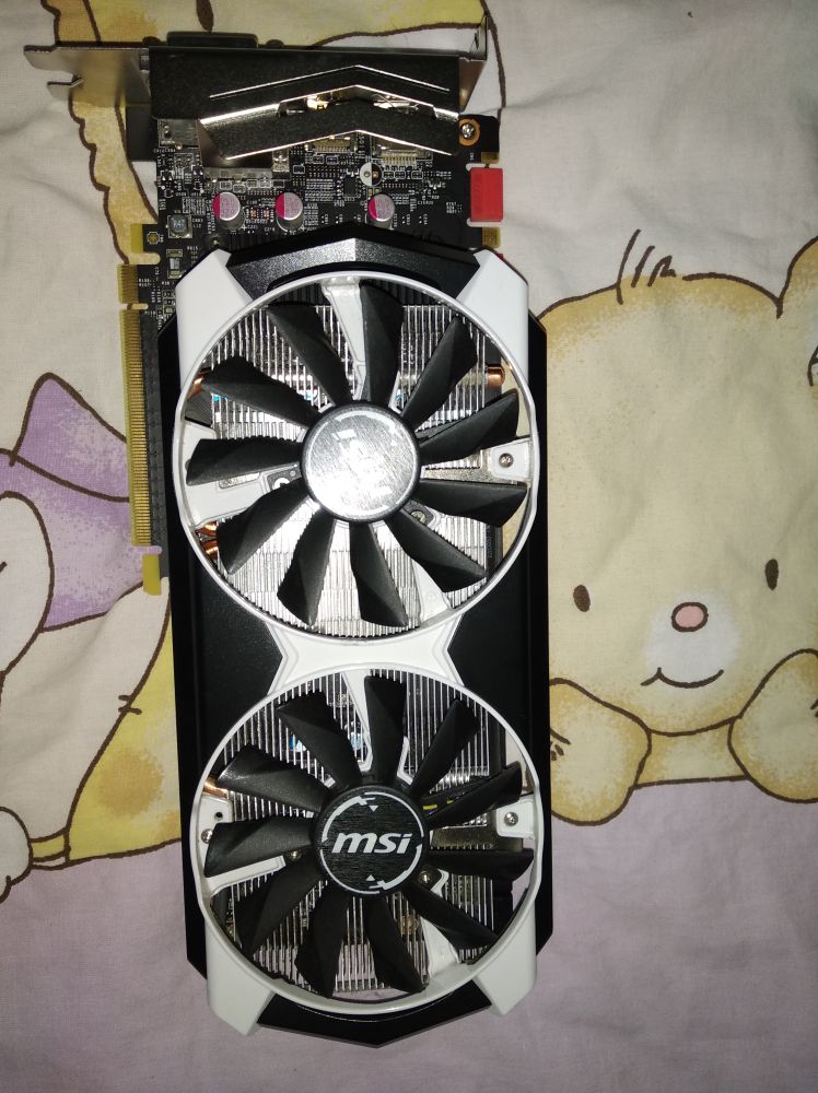970_1.JPEG