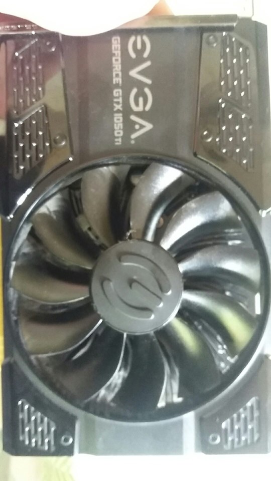 64879745_2076653492460098_5789536595551977472_n.jpg