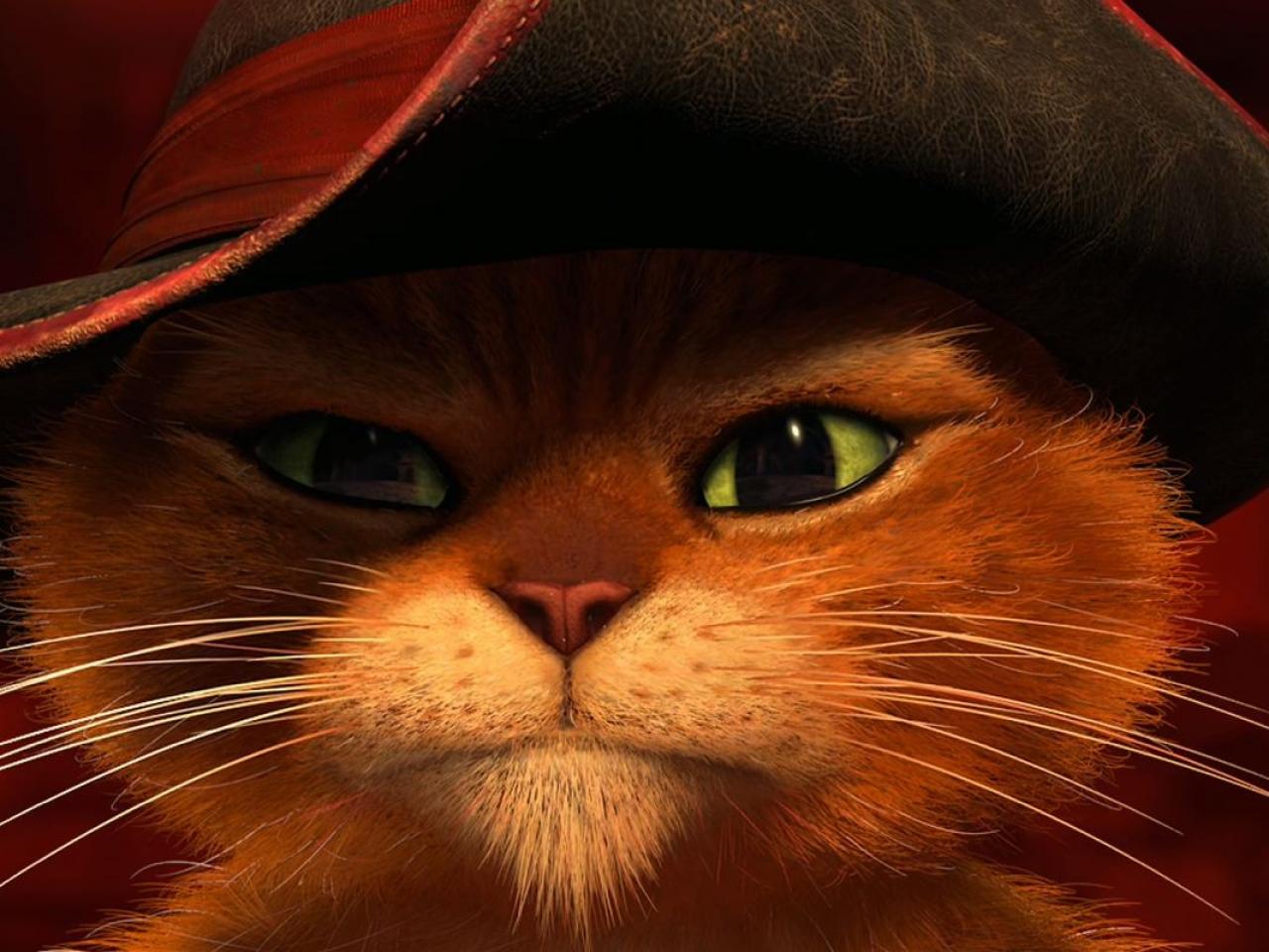 pussboots2.jpeg