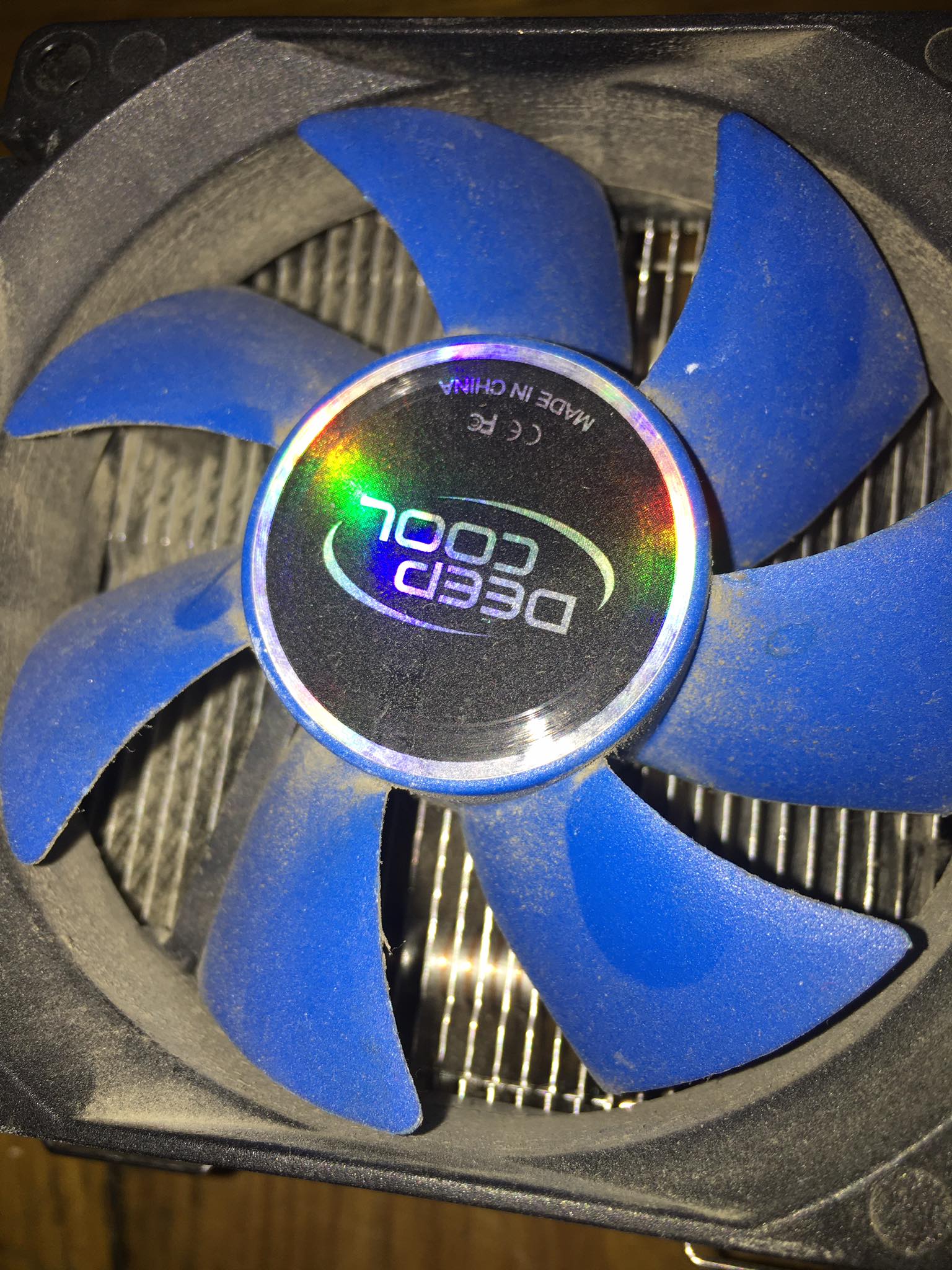 COO.jpg