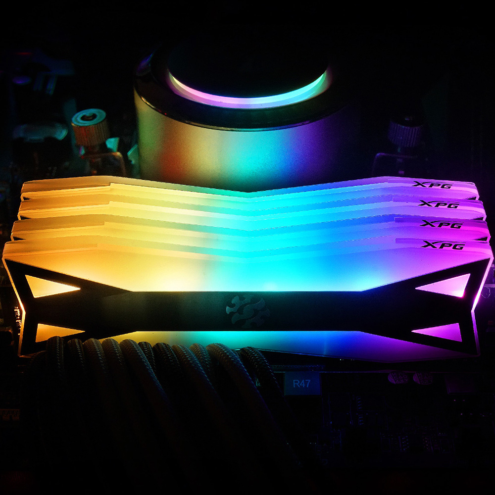ram_03.jpg