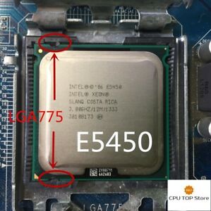 s_l300.jpg