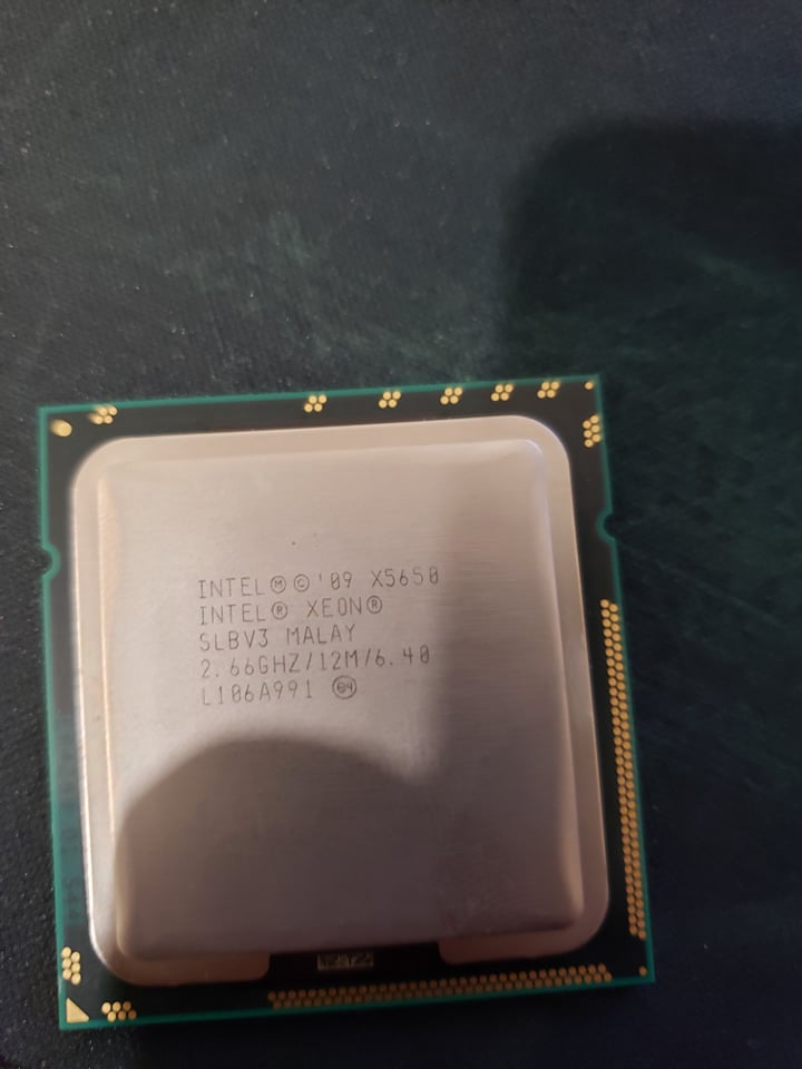 XEon1.jpg