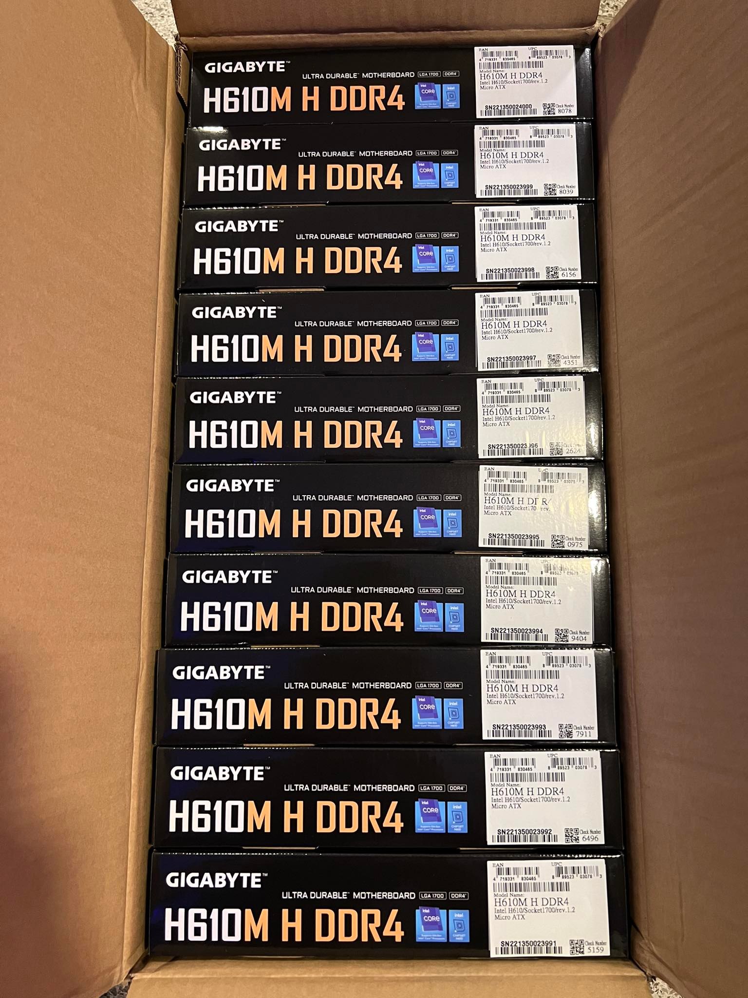 h610.jpg