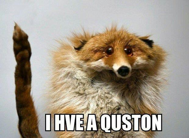i_hve_qston.jpg