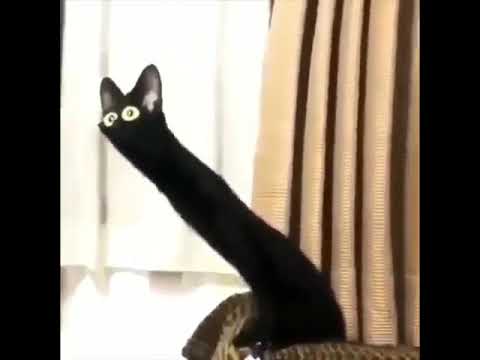 hqdefault.jpg