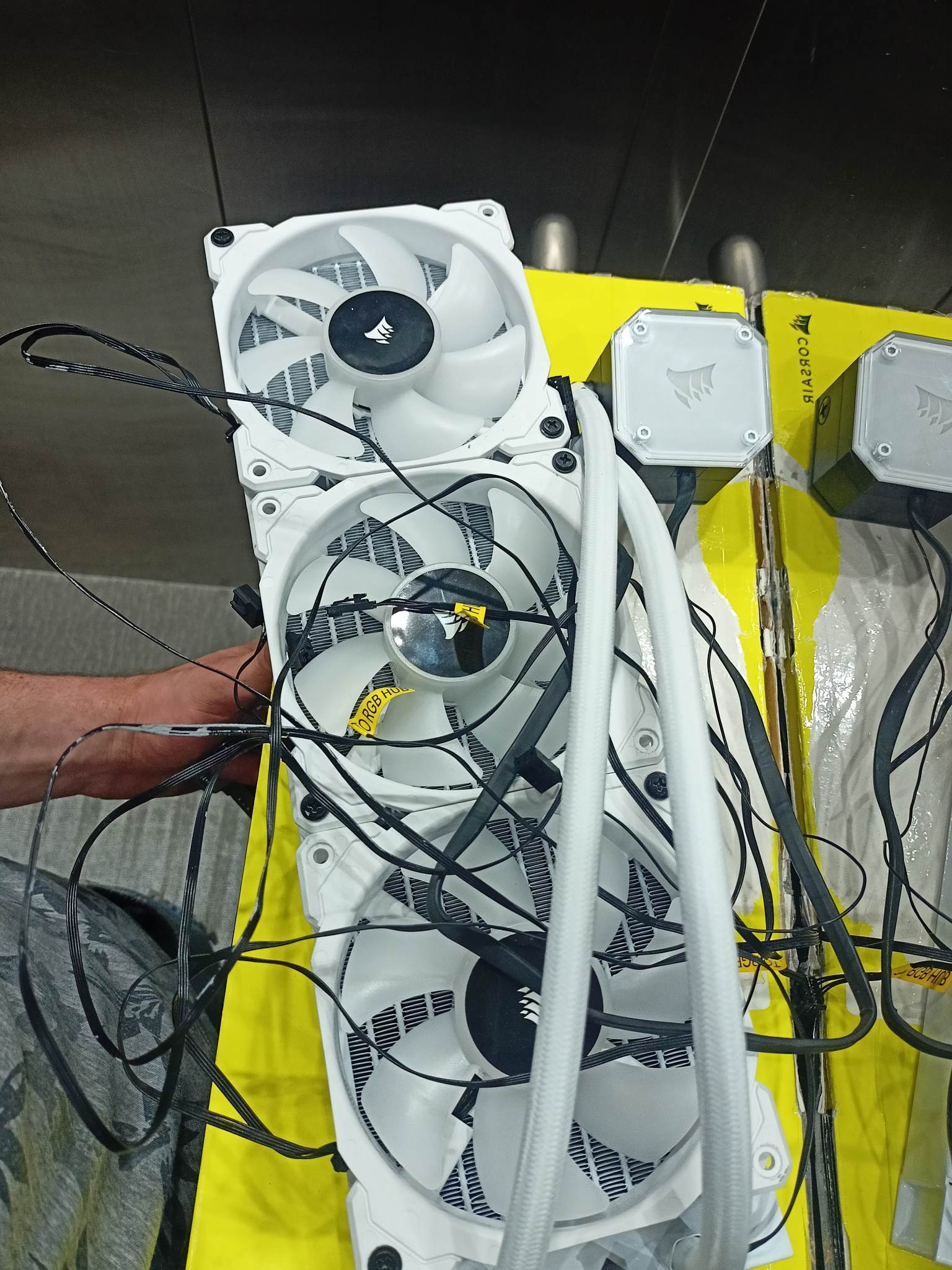 351460271_778636343741548_8064055371617937435_n.jpg