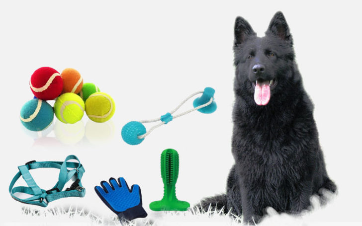 Getting_Leash_and_Dog_Accessories_728x455_1.jpg