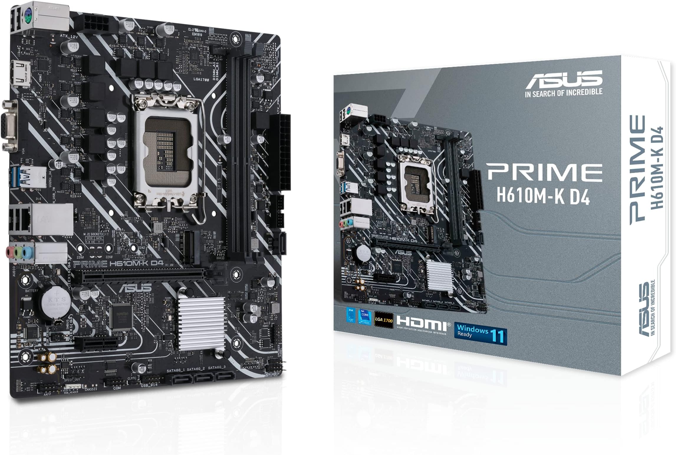 asush610.jpg