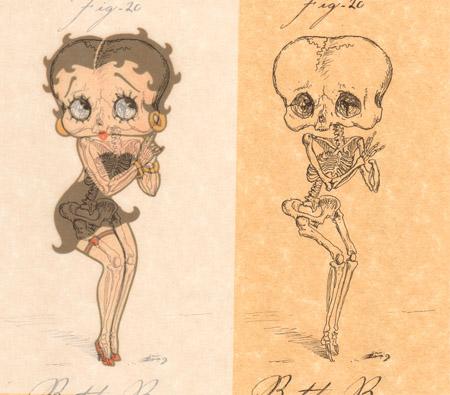 boops_anatomy.jpg