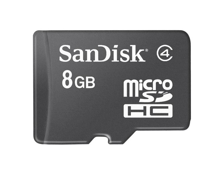 microSDHC8GB_big.jpg