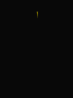 Sprint_animated_cell_phone_wallpaper_240x320.gif