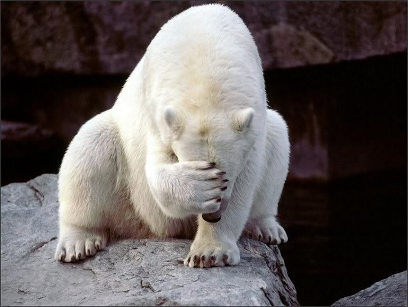 facepalm.jpg