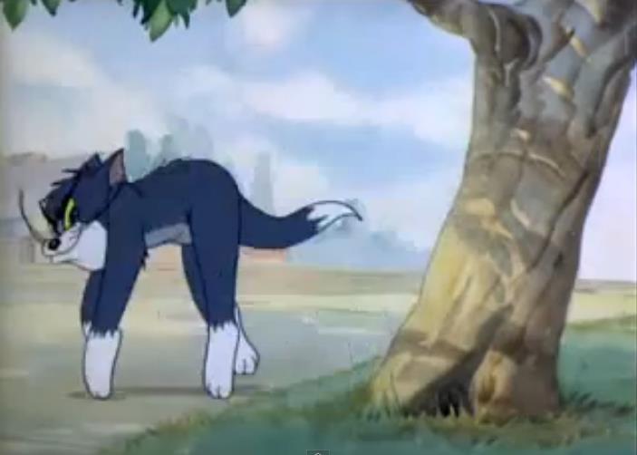 Tom.jpg