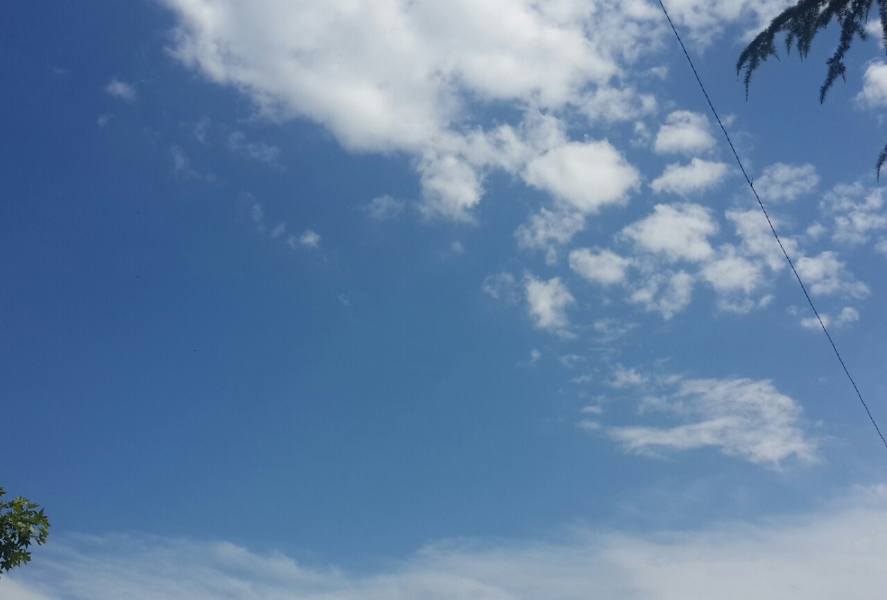 2015_06_18_15.50.15.jpg