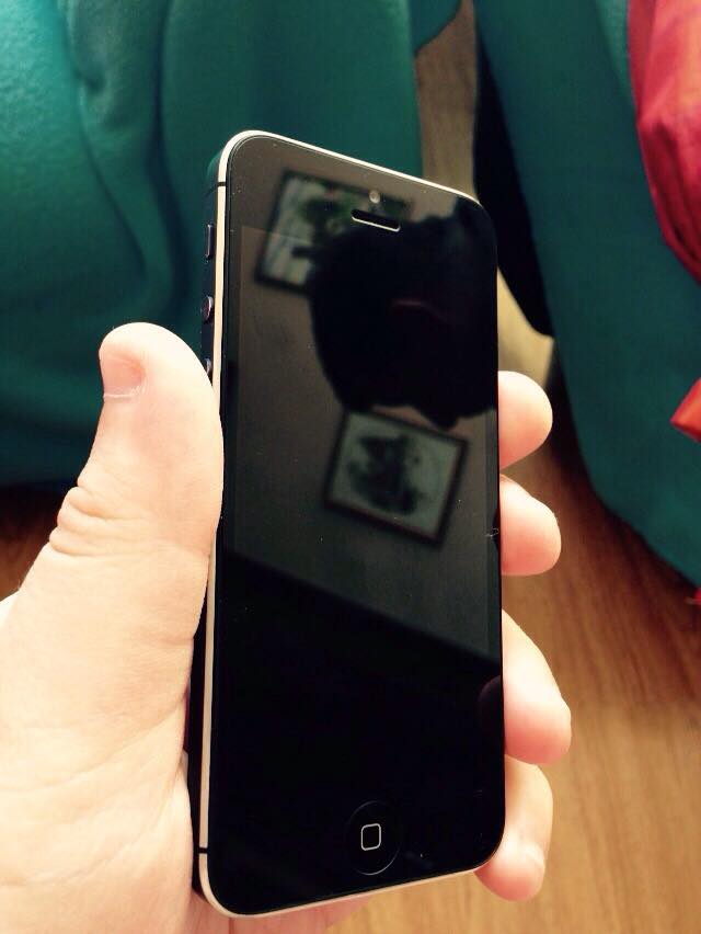 11733324_858970680857023_514020555_n.jpg