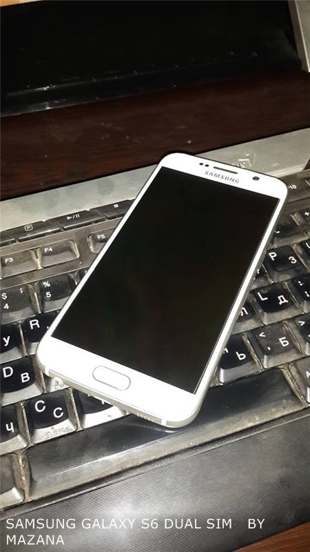 f8bcddc0338d.jpg