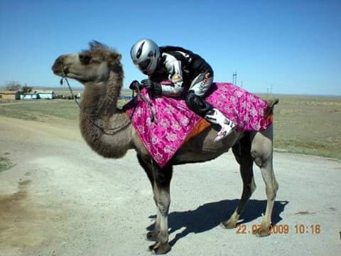 Camel_Moto.jpg