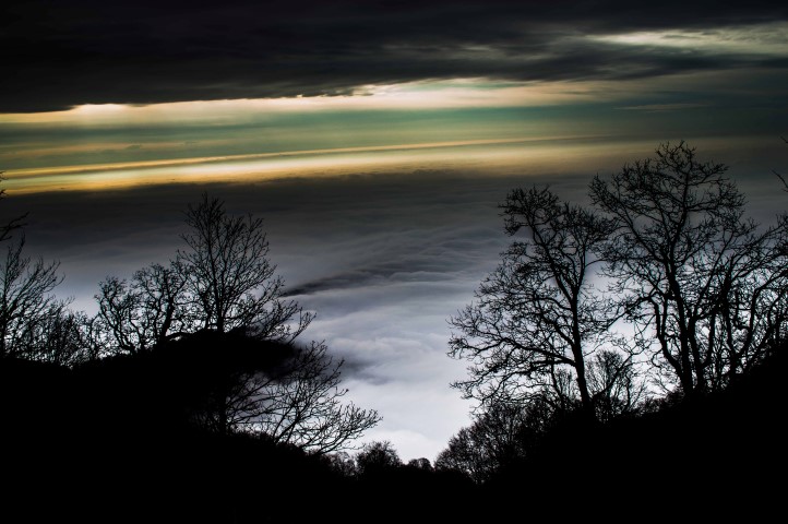 DSC_1286__Small_.jpg