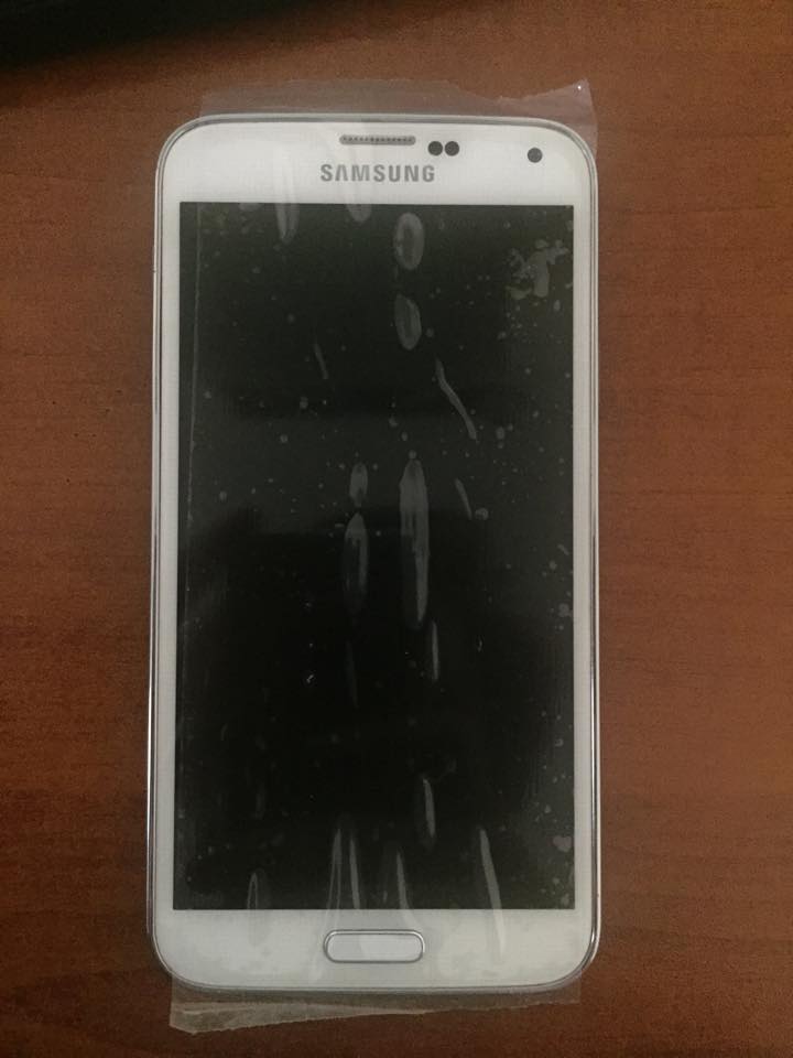 804477_10200938466740738_997336930_n.jpg