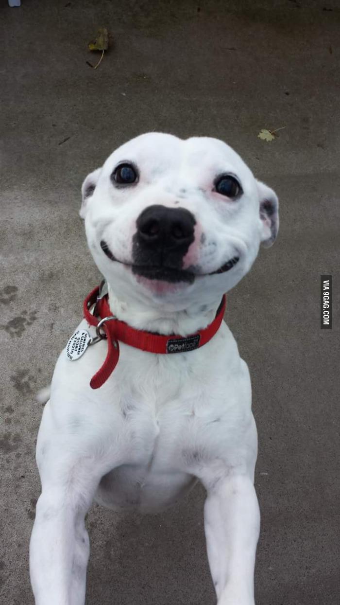 The_sweetest_of_smiles.jpg