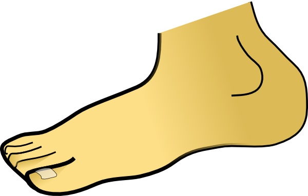 foot_clipart_foot_hi.png