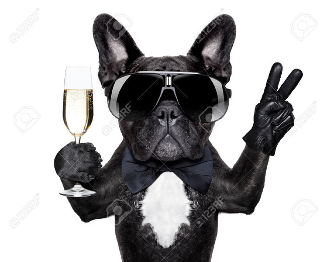 rsz_27913289_french_bulldog_with_a_champagne_glass_and_victory_or_peace_fingers_stock_photo.jpg