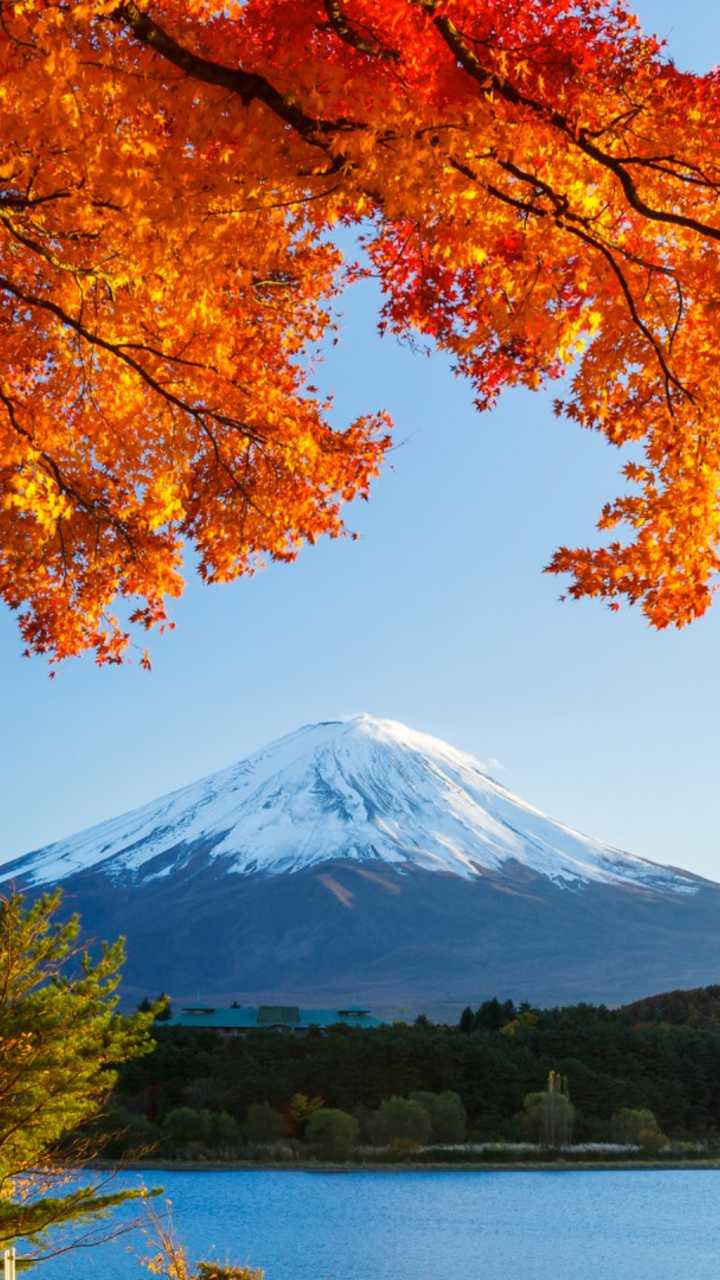 autumn_trees_winter_mountain_hd_wallpaper_720x1280.jpg