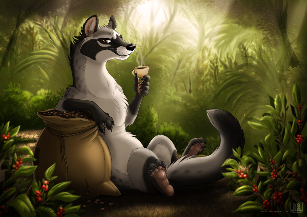 kopi_luwak_by_tanidareal_d5xp0hp.jpg