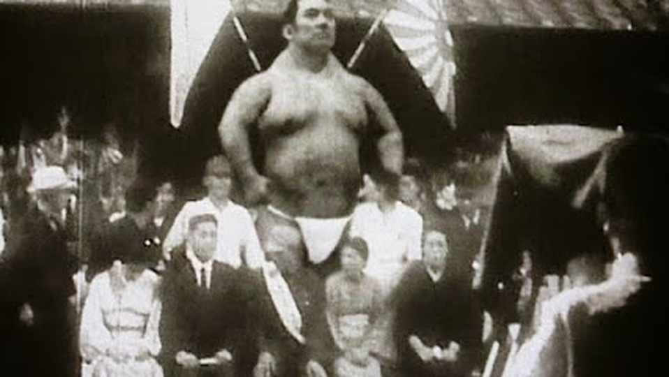 5263251.jpg