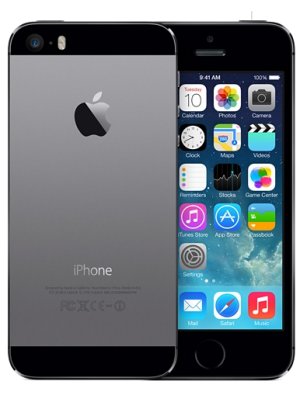 iphone5sgry.jpg