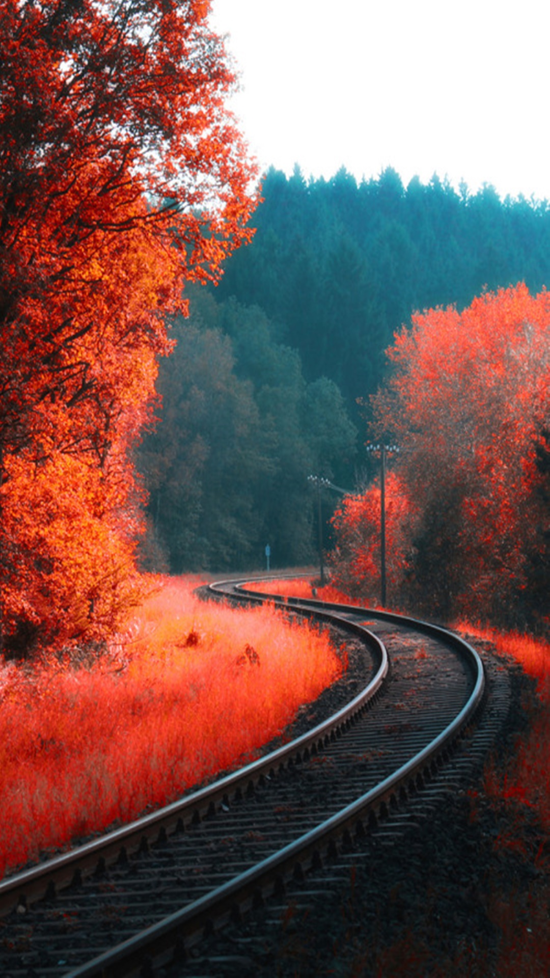 Autumn_Landscape_wallpaper_10955554.jpg