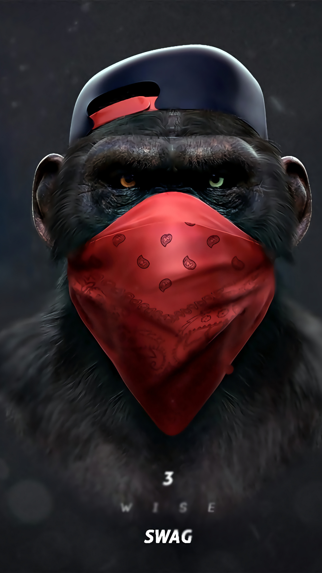 monkey_swag_wallpaper_11083834.jpg