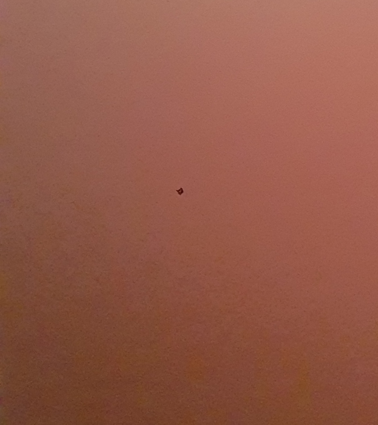 20171004_165227.jpg