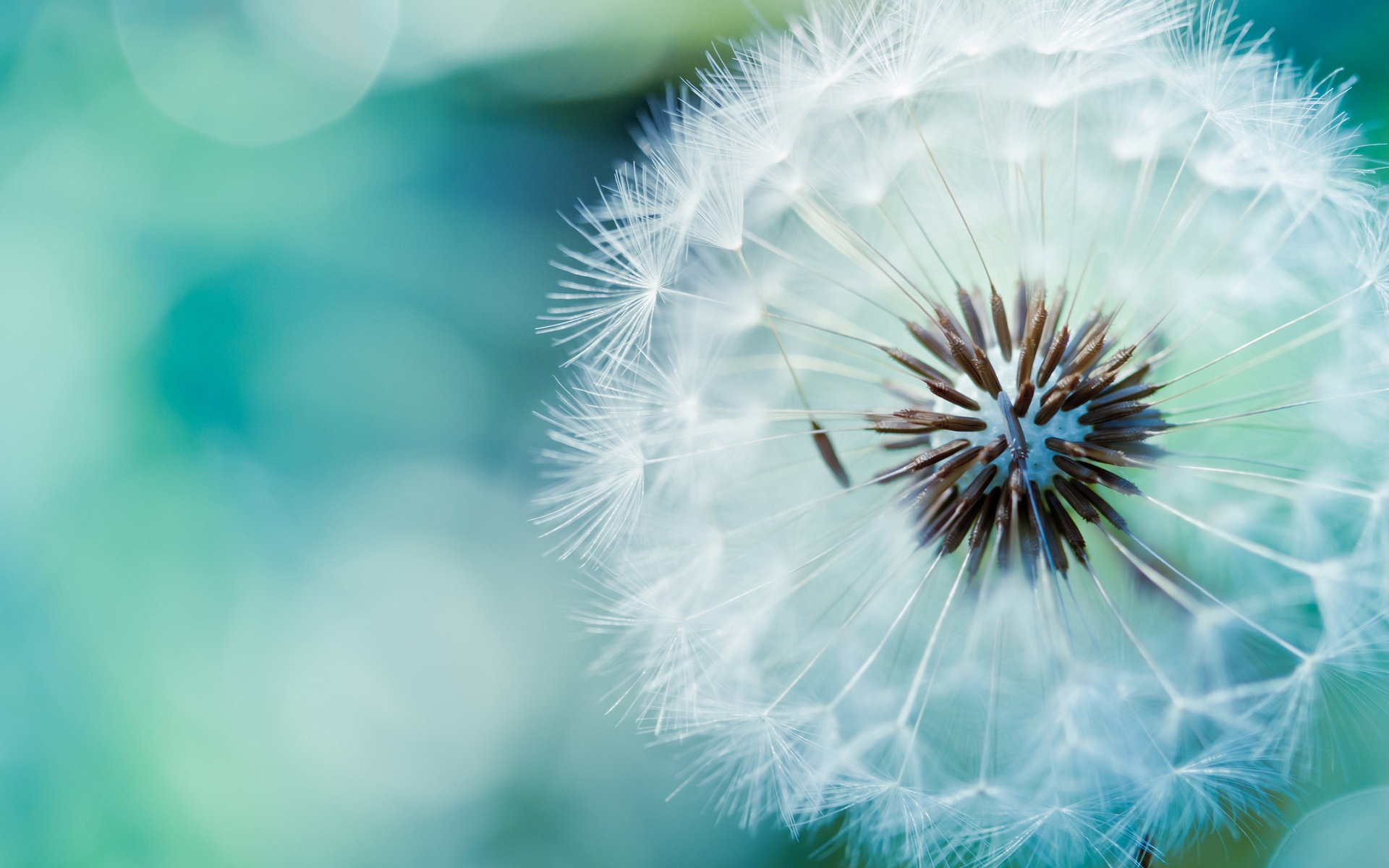 Pretty_HD_Backgrounds_4.jpg