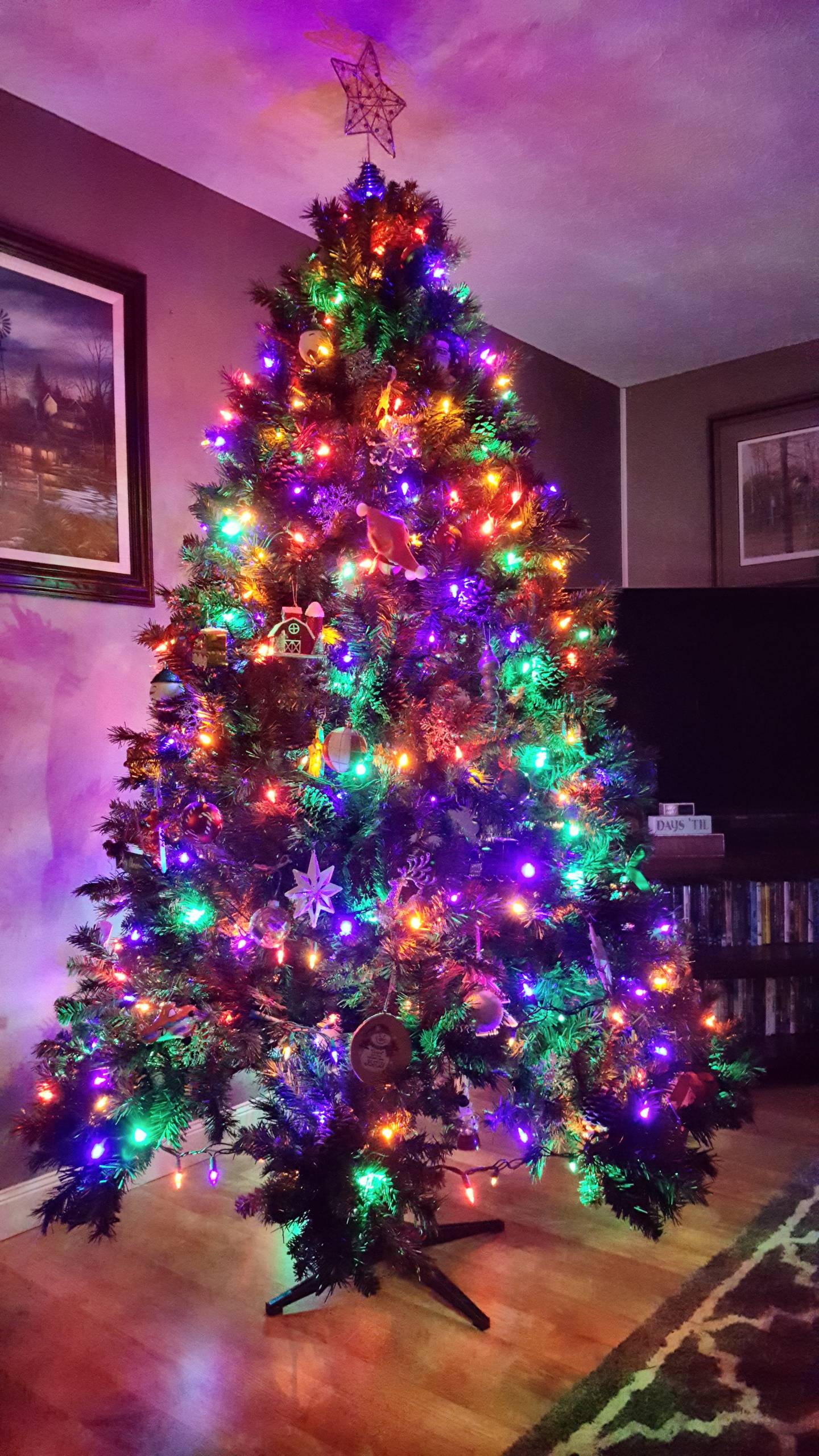 Tis_the_Season_4a778ebe_93de_4e8c_aa75_4be4ecc8183b.jpg